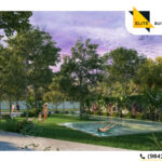 Lotes Residenciales en Yucatán