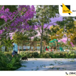 Lotes Residenciales en Yucatán