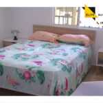 Departamento para Renta Largo Plazo