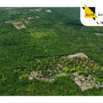 Lote de Inversión Mulka en Hunucmá