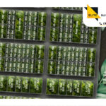 Lote de Inversión Mulka en Hunucmá