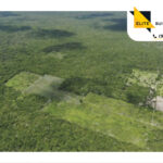 Lote de Inversión Mulka en Hunucmá