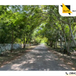 Lotes de Inversión Antaris en Tixkuncheil