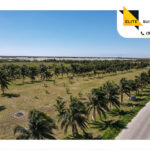 Lotes de inversión en Nativo Telchac