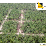 Lotes residenciales en Tulum