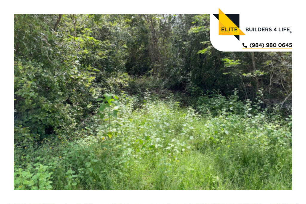 Terrenos de inversión Belavit