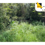 Terrenos de inversión Belavit