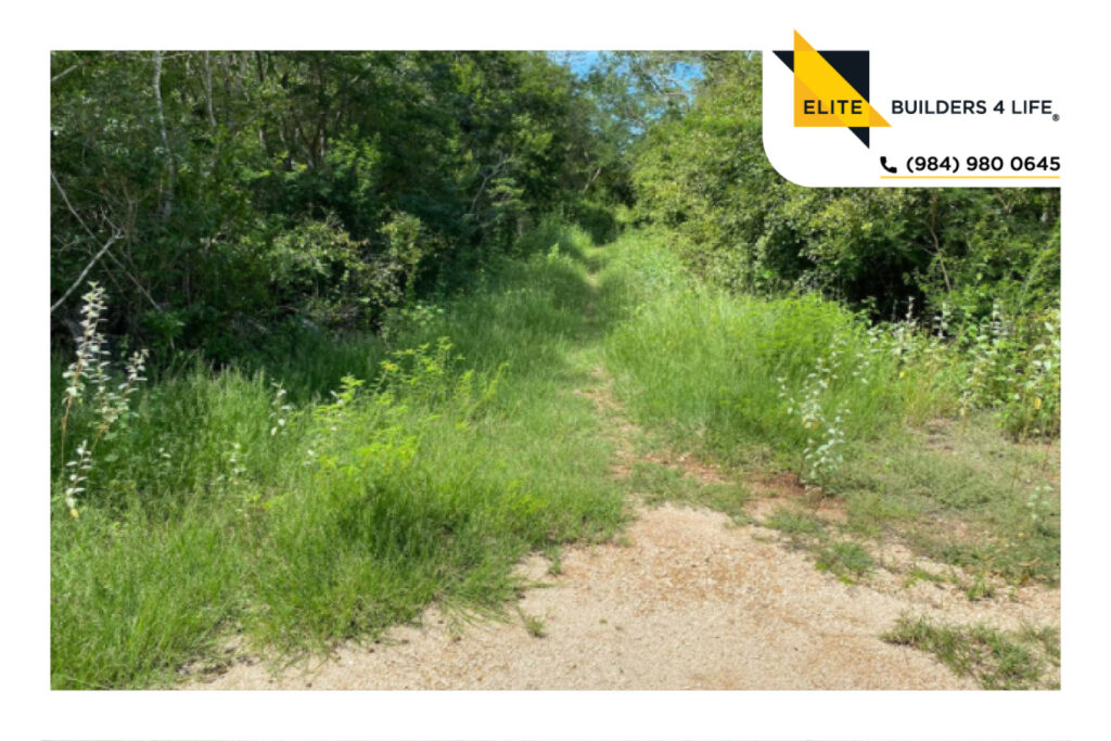 Terrenos de inversión Belavit