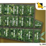 Terracota en Hunucma