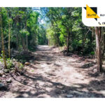 Terreno lotificado en Tulum