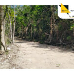 Terreno lotificado en Tulum