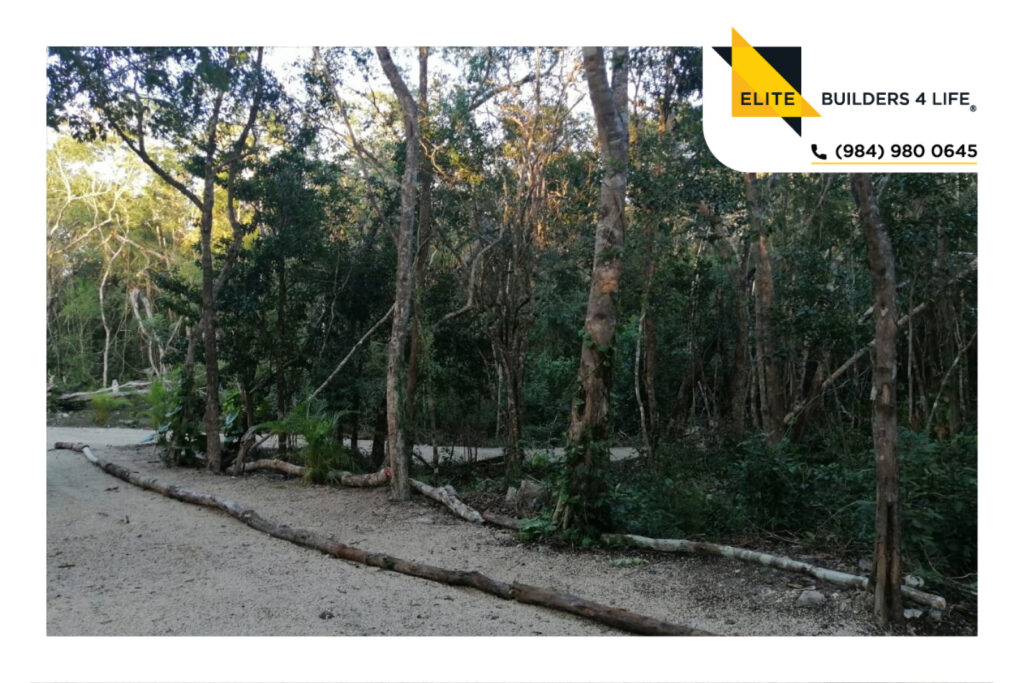 Terreno lotificado en Tulum