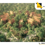 Villas en majestuoso desarrollo en la Selva de Tulum